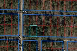 NE 15th Ln, Williston, FL 32696 - Photo 1