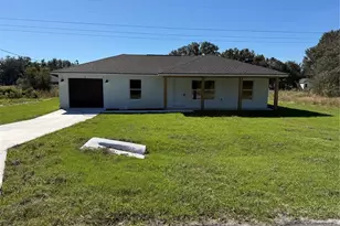 14 Guava Trak, Ocklawaha, FL 32179 - Photo 1