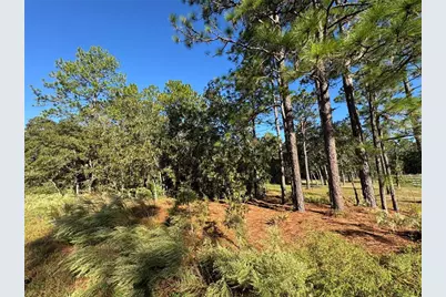 12351 SW 67th Lane, Ocala, FL 34481 - Photo 1