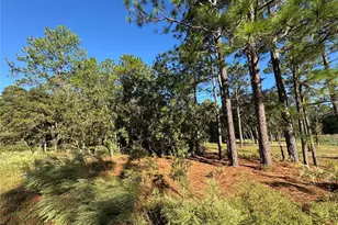 12351 SW 67th Ln, Ocala, FL 34481 - Photo 1