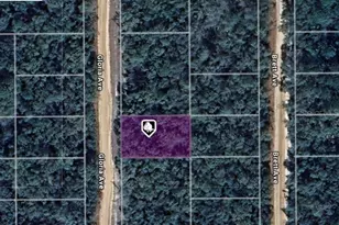 Lot 8 Gloria Ave, Interlachen, FL 32148 - Photo 1