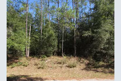 Lot 13 SW 87th Loop, Dunnellon, FL 34431 - Photo 1