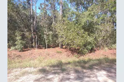 Sw 67 Ln, Ocala, FL 34481 - Photo 1