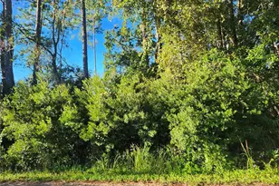 Tbd Redwood Track Course, Ocala, FL 34472 - Photo 1