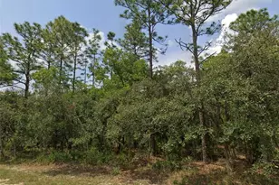 Lot 3 SW 144th Ln, Ocala, FL 34473 - Photo 1