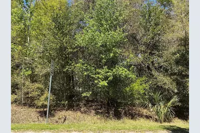 0 SE 139th Lane, Summerfield, FL 34491 - Photo 1