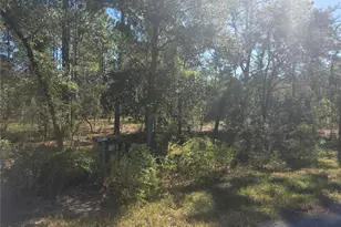 Lot 30 NW Holly Rd, Dunnellon, FL 34431 - Photo 1