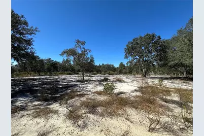 Tbd NE 100th Avenue, Bronson, FL 32621 - Photo 1