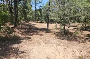 Lot 18 SW Pine Bluffs Rd, Dunnellon, FL 34432 - Photo 1