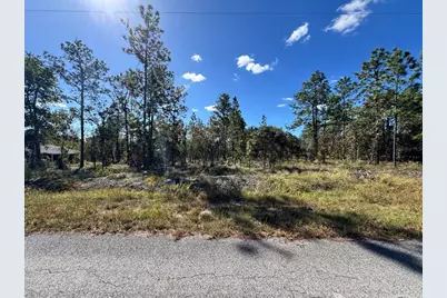 Tbd NW Luna Avenue, Dunnellon, FL 34431 - Photo 1