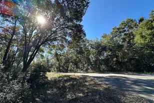 Tbd NE 152nd Terrace, Williston, FL 32696 - Photo 1