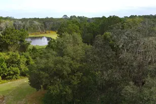 11701 SE Hwy 464, Ocklawaha, FL 32179 - Photo 1
