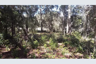 Lot 33 SW Neptune Boulevard, Dunnellon, FL 34431 - Photo 1