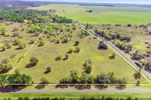 SE State Rd 121, Morriston, FL 32668 - Photo 1