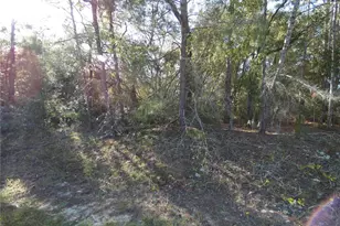 7809 N Jamaica Dr, Citrus Springs, FL 34433 - Photo 1