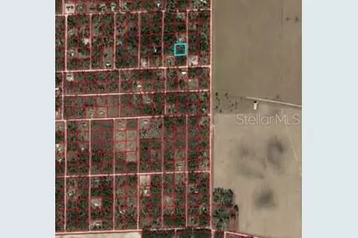 00 NE 129th Avenue, Williston, FL 32696 - Photo 1