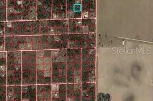 00 NE 129th Ave, Williston, FL 32696 - Photo 1