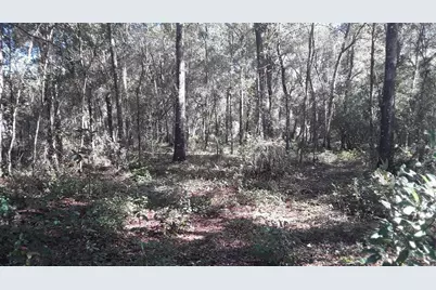 2010 Falkner Street, Inverness, FL 34453 - Photo 1