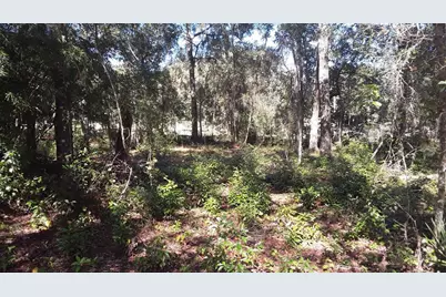 2012 Falkner Street, Inverness, FL 34453 - Photo 1