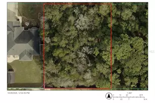 Lots 41-44 SE 161 Pl, Summerfield, FL 34491 - Photo 1