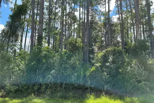 53 Fenwick Ln, Palm Coast, FL 32137 - Photo 1