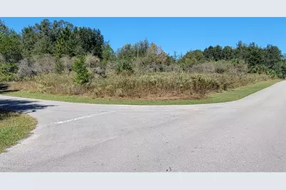 0 SW 82nd Place, Dunnellon, FL 34431 - Photo 1
