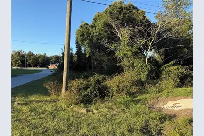 0 Chestnut Road, Ocala, FL 34480 - Photo 1