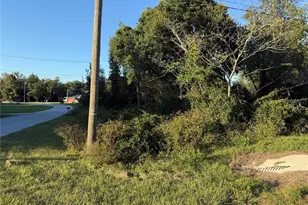 0 Chestnut Rd, Ocala, FL 34480 - Photo 1