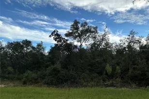 0 SW 178th Streets, Ocala, FL 34473 - Photo 1