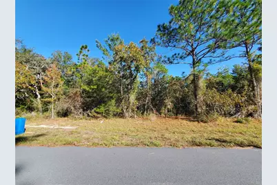 Tbd SW 132nd Place, Ocala, FL 34473 - Photo 1