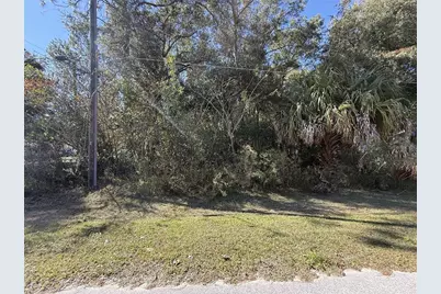 Tbd SW 78th Street, Ocala, FL 34476 - Photo 1