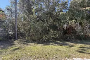 Tbd SW 78th St, Ocala, FL 34476 - Photo 1