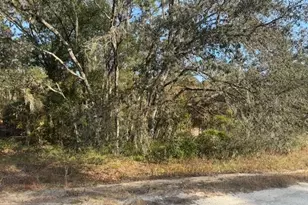 00 SW 136th Terrace, Dunnellon, FL 34432 - Photo 1