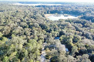 92nd St, Ocklawaha, FL 32179 - Photo 1