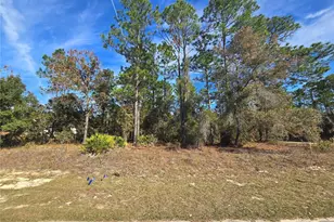 6434 N Baylor Terrace, Citrus Springs, FL 34433 - Photo 1