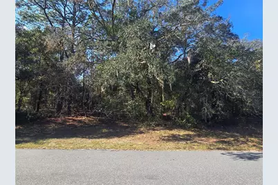 11370 N Ortega Point, Dunnellon, FL 34433 - Photo 1