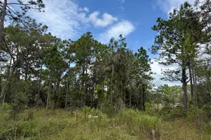 7341 SE 117th, Morriston, FL 32668 - Photo 1