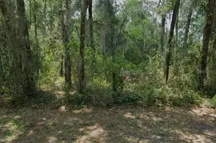 5979 E Seneca St, Inverness, FL 34452 - Photo 1