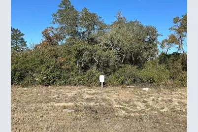 0 SW 165th Loop, Ocala, FL 34473 - Photo 1
