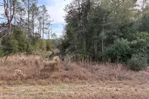 0 SW Cardinal Ave, Dunnellon, FL 34431 - Photo 1