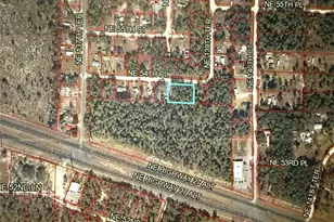 0 NE 54th Pl, Williston, FL 32696 - Photo 1