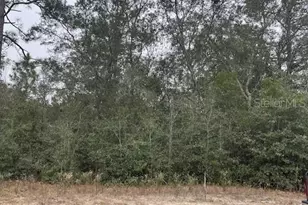 18530 SW 44th St, Dunnellon, FL 34432 - Photo 1