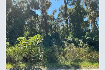 00 SE 134th Place, Belleview, FL 34420 - Photo 1