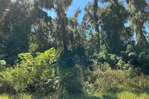 00 SE 134th Pl, Belleview, FL 34420 - Photo 1