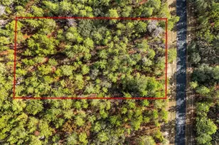 SW 177th St, Ocala, FL 34473 - Photo 1