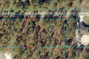 Tbd NW Tamarind Ln, Dunnellon, FL 34431 - Photo 1