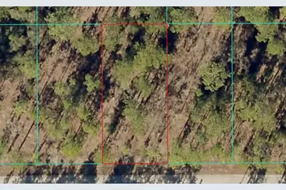 Tbd1 NW Tamarind Lane, Dunnellon, FL 34431 - Photo 1