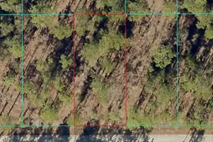 Tbd1 NW Tamarind Ln, Dunnellon, FL 34431 - Photo 1