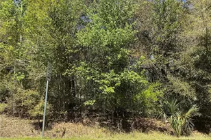 00 SE 139th Ln, Summerfield, FL 34491 - Photo 1