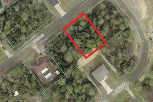 0 SW 169 Pl, Ocala, FL 34473 - Photo 1